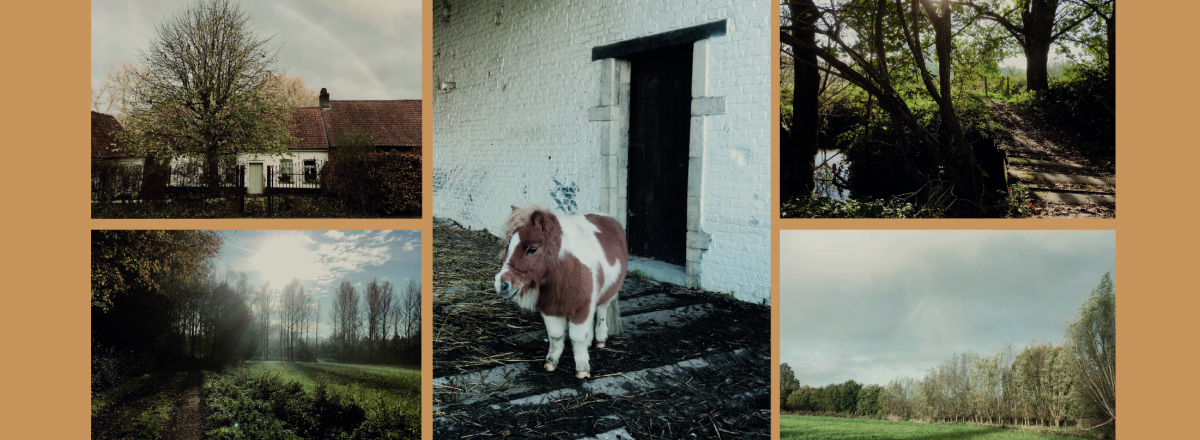 Wilde wandelen