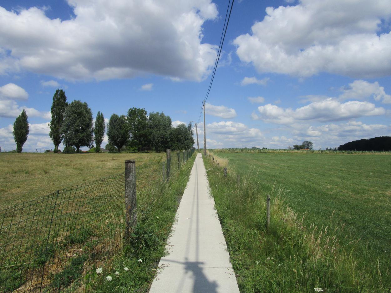 Maaien Trage Wegen