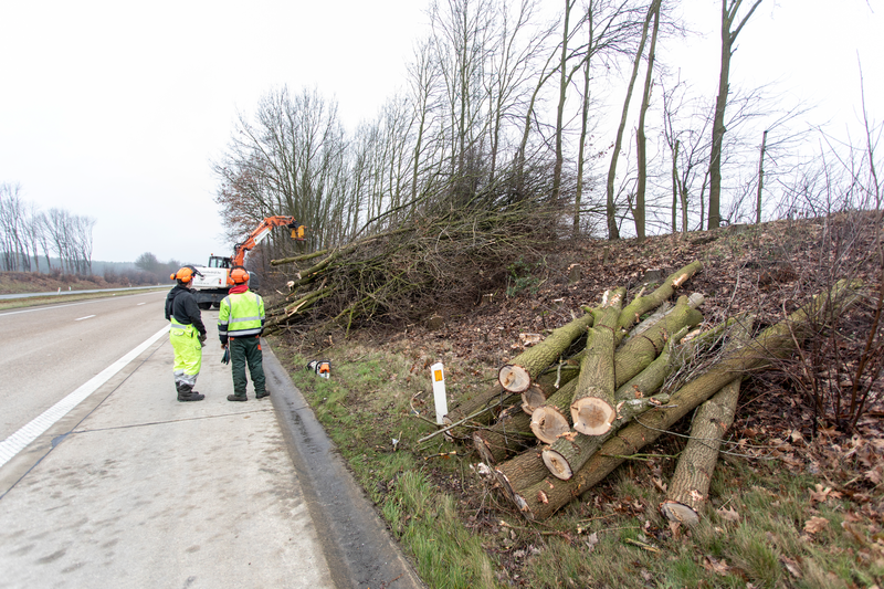Hakhoutbeheer gewestwegen en autosnelwegen