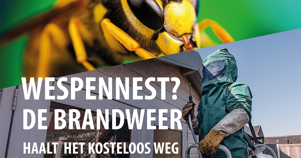 wespen