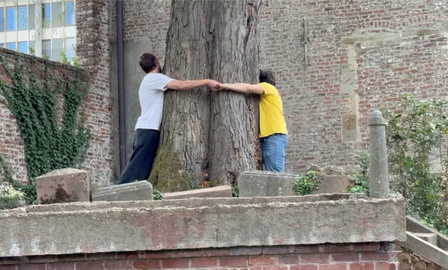 Neem een boom