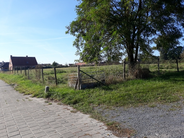 Foto Tombroek