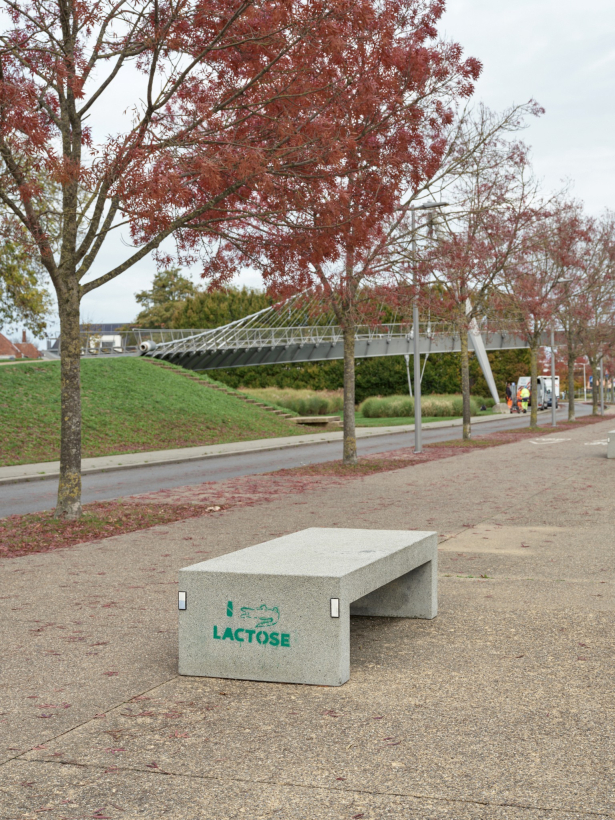 Foto van het kunstwerk Lactose