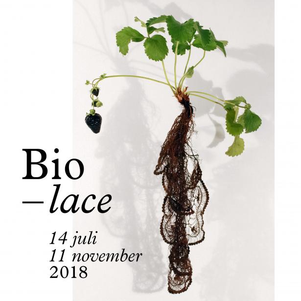 affiche Biolace