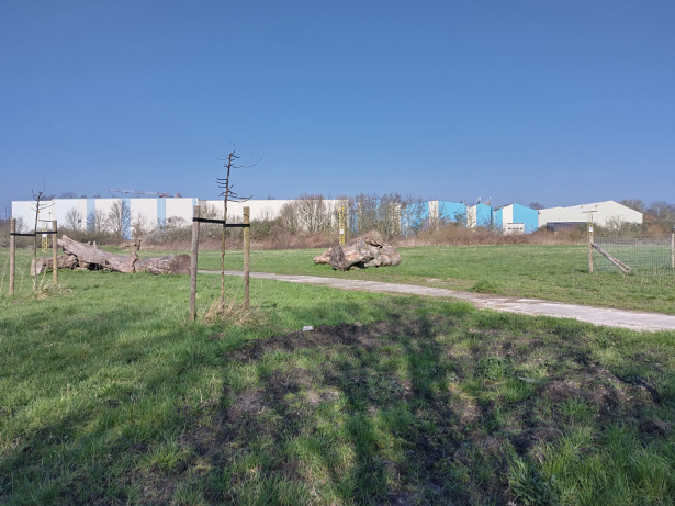 Vlienderkouter
