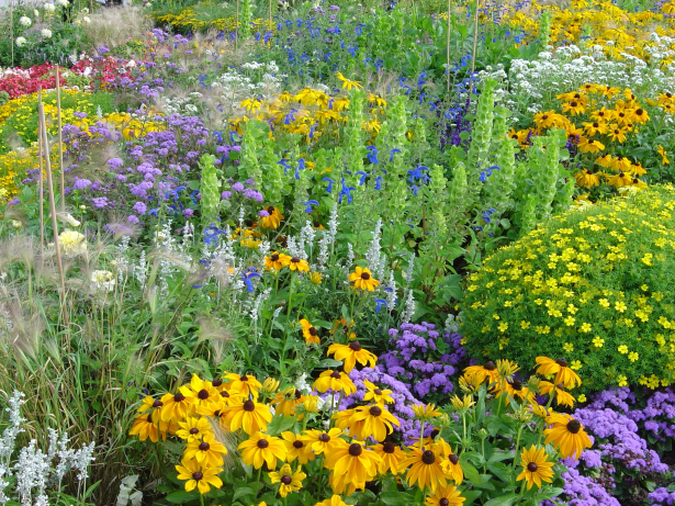 Diversiteit in de tuin