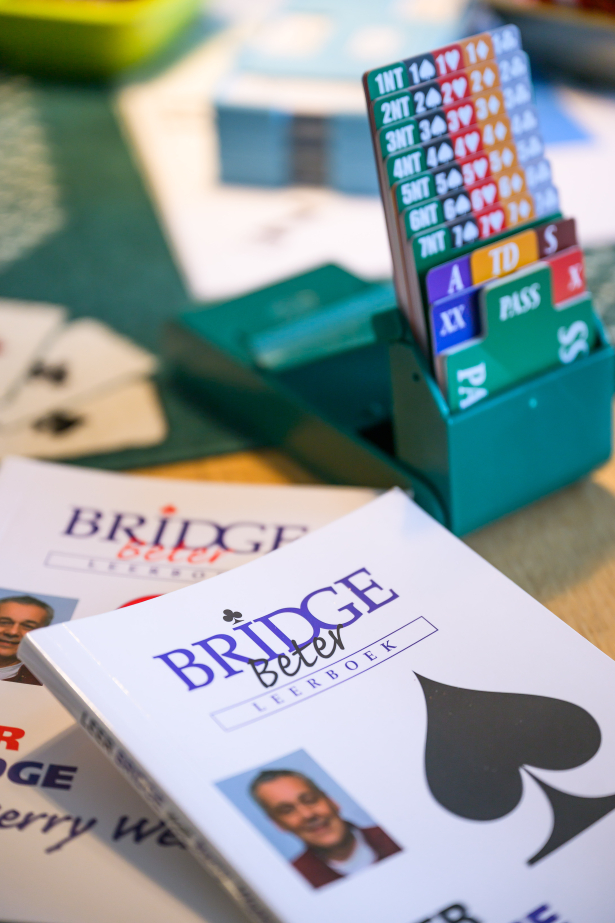 bridge