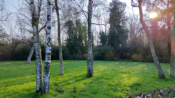 Tuin Olmenlaan
