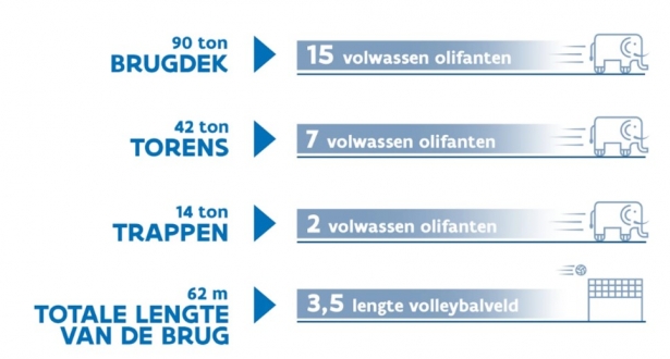 Reepbrug in cijfers