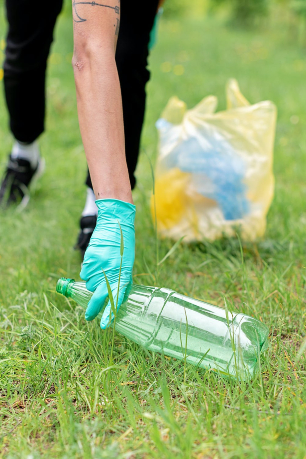 Nature Clean Up Experience