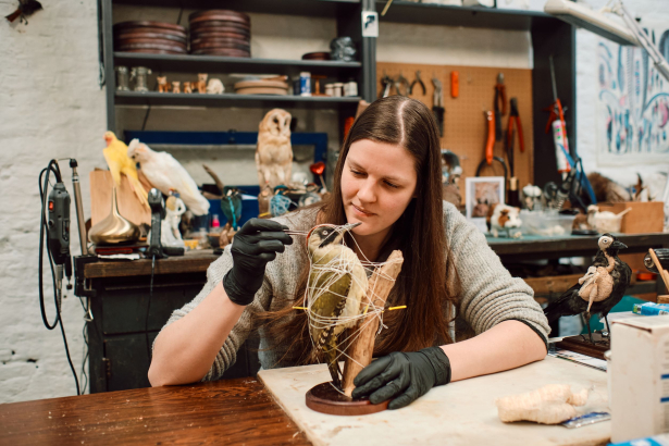 Taxidermiste Frauke