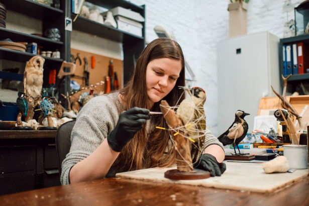 Taxidermiste Frauke