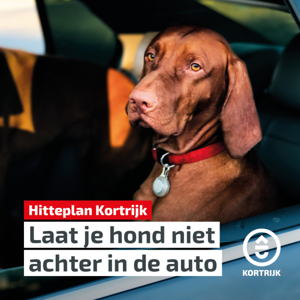 Hitteplan - dierenwelzijn